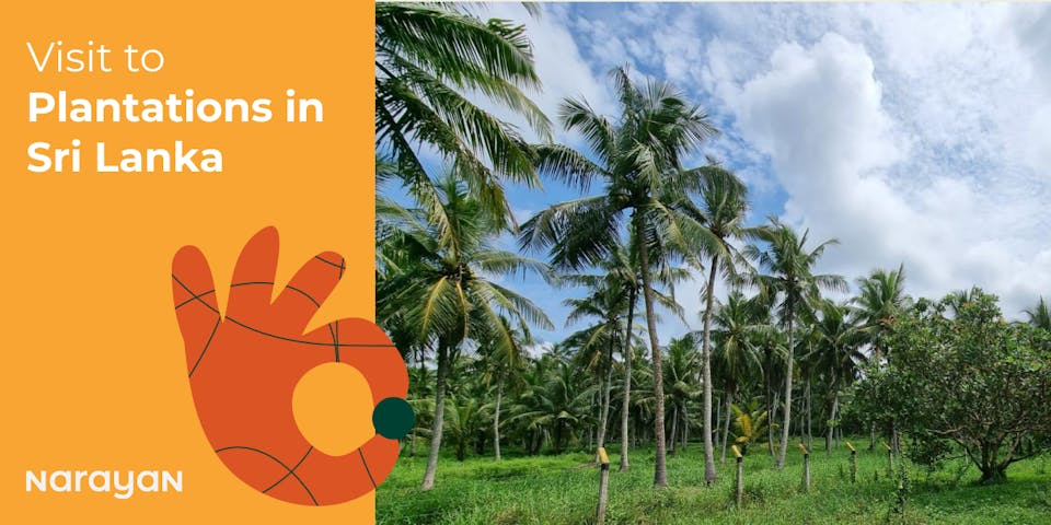 sri lanka plantations
